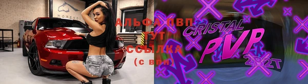 эйфоретик Магас
