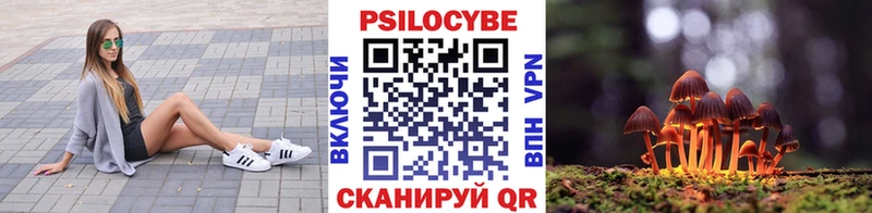 Галлюциногенные грибы Cubensis  где можно купить наркотик  Чита 