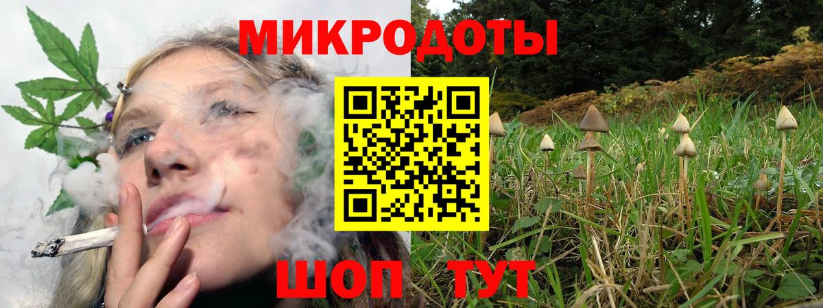 Псилоцибиновые грибы MAGIC MUSHROOMS Чита