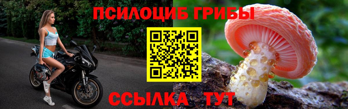 Чита  Псилоцибиновые грибы мицелий  Вход с VPN 